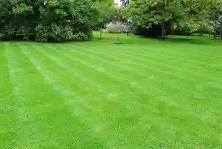 Leisure Lawn