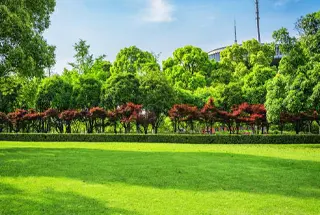 Arihant Sport City Party Lawn