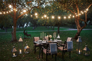 Party Lawn