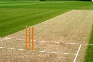 Cricket Pitch
