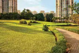 Landscaped Gardens Landscaped Gardens