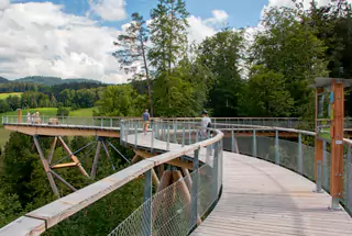Treetop Walk