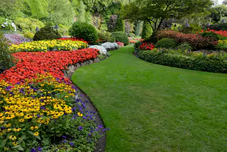 Landscape Garden