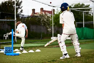 Cricket Pitch