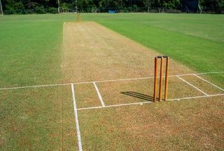 Cricket pitch