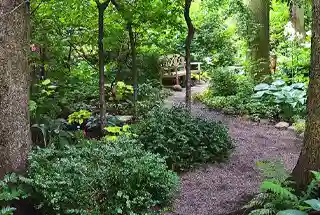 Forest Garden