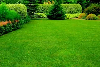 Landscape Greens