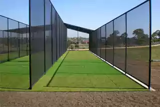 Cricket Pitch