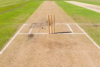 Cricket Pitch