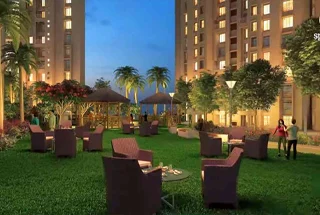 Party Lawn