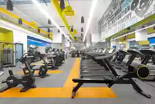 Fitness Zone