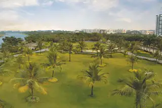 green lawn
