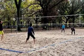 Volleyball Court