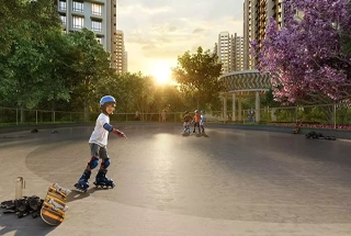 Skating Rink