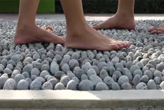 REFLEXOLOGY GARDEN