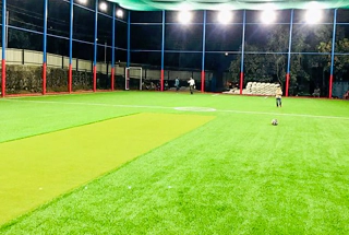 Cricket Practice Pitch