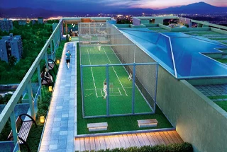 Cricket Turf