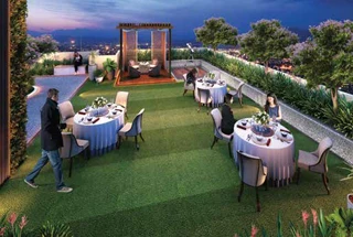 Party Lawn
