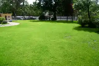 Artificial Party Lawn