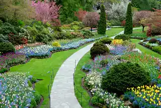 Landscaped Garden